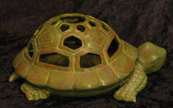 Turtle image portal link.